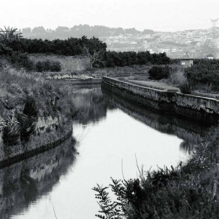 La modernización y la Albufera