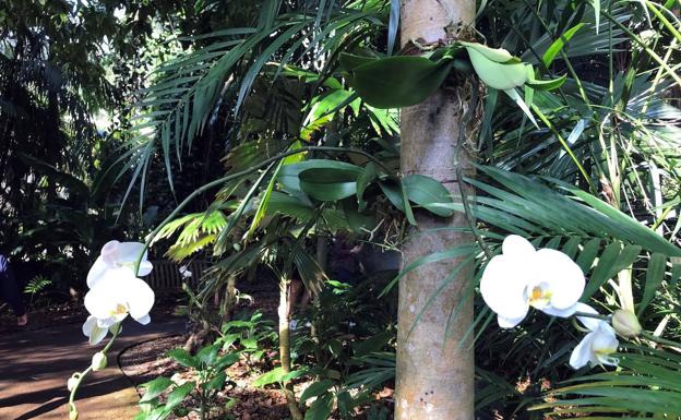 Así será la primavera: fechas de los dos eclipses, cambio de hora y luna llena