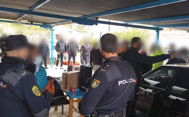 La Policía Nacional descubre un recinto secreto donde se celebraban peleas de gallos