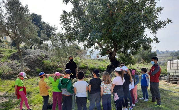 Un alumno, un árbol en El Poble Nou de Benitatxell