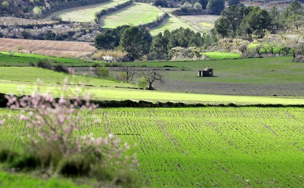 Moixent frena a las renovables para mantener la Toscana valenciana