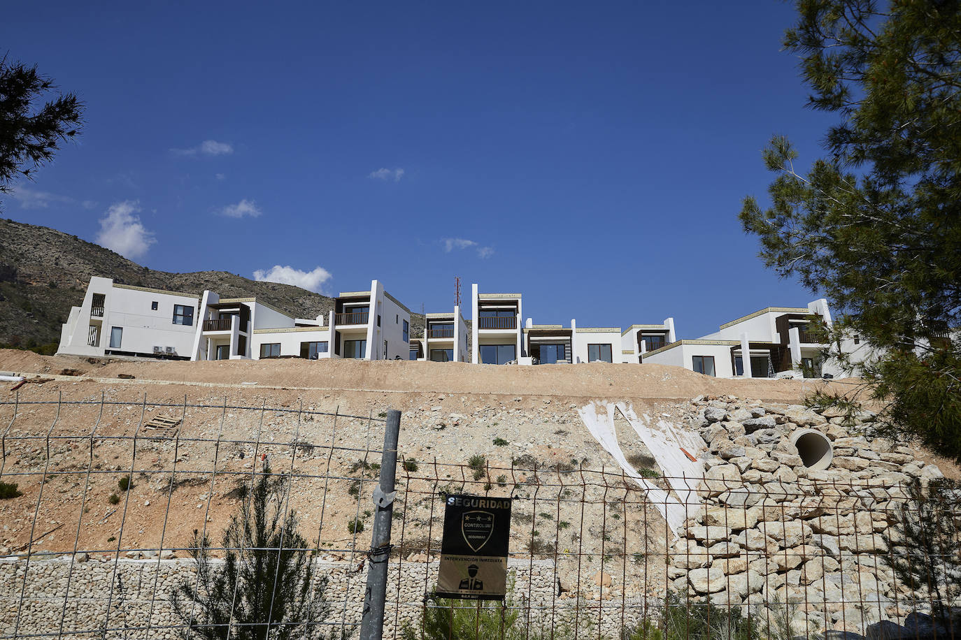 ¿La reina de las cenizas?