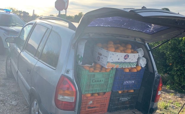 La red social que atrapa a ladrones de naranjas en Vilamarxant