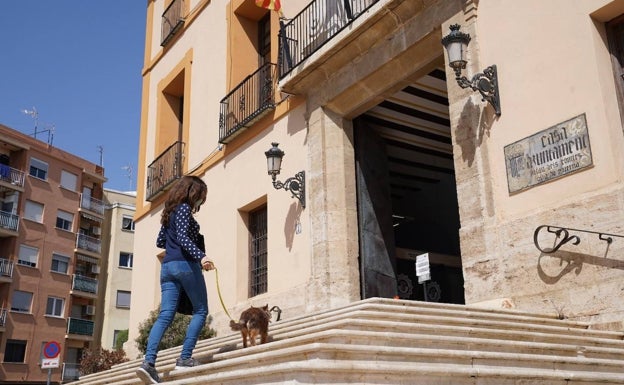 Paterna permite el acceso de mascotas a edificios y transporte público