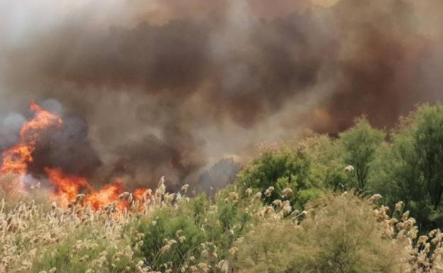 Un incendio forestal en Aspe moviliza a seis unidades de bomberos y dos medios aéreos