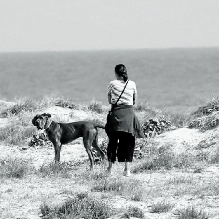 Dunas, neveras y barbacoas