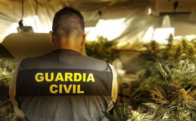 Detenidos 15 miembros de una banda muy peligrosa que asaltaba a traficantes de marihuana