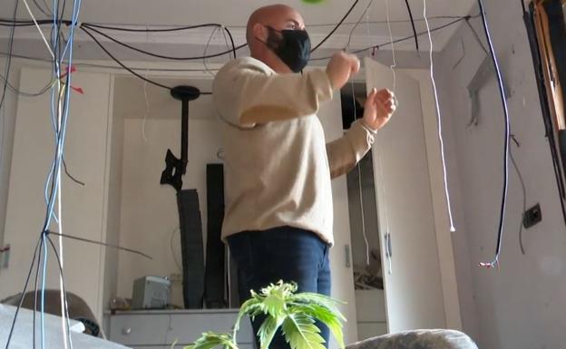 Un chalé de lujo de la Comunitat, convertido en una macroplantación de marihuana
