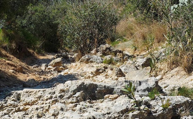 Picasent pone en marcha el voluntariado ambiental para divulgar y proteger las zonas naturales