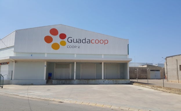 La cooperativa de Guadassuar logra la paridad en su consejo en sus cien años de historia