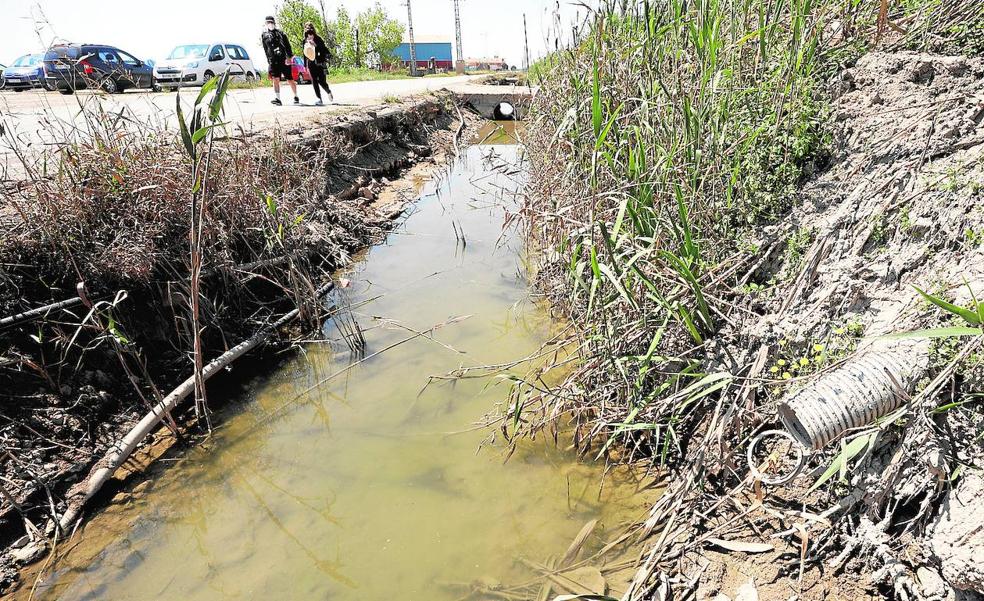 El Consell detecta en polígonos cuatro focos de vertidos ilegales que llegan a la Albufera