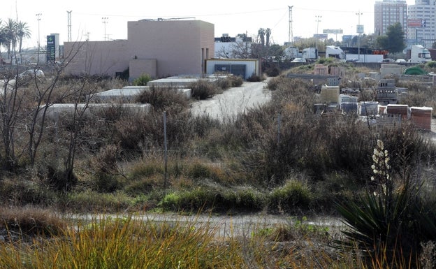 El PP de Valencia exige las infraestructuras previstas en la Albufera