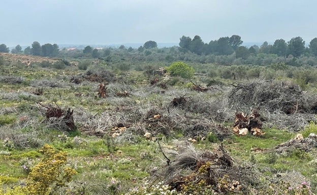 Vecinos de Chella se movilizan para que las placas solares no invadan la sierra