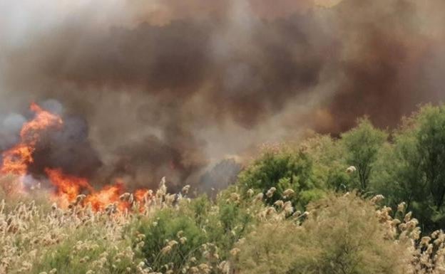 2.600 ojos contra los incendios en los montes valencianos