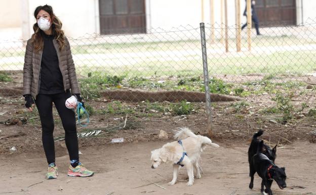 Los nombres de mascotas más utilizados en la Comunitat Valenciana