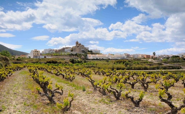 Benitatxell crea un banco de tierras para revitalizar el sector agrícola