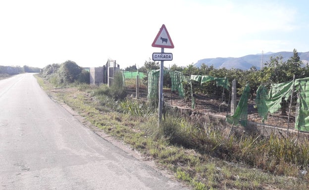 Tavernes delimita la vía pecuaria del Camí Real a Xeraco para permitir el paso de vehículos