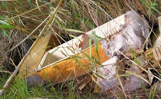 Descubren vertidos incontrolados en las inmediaciones de la Albufera