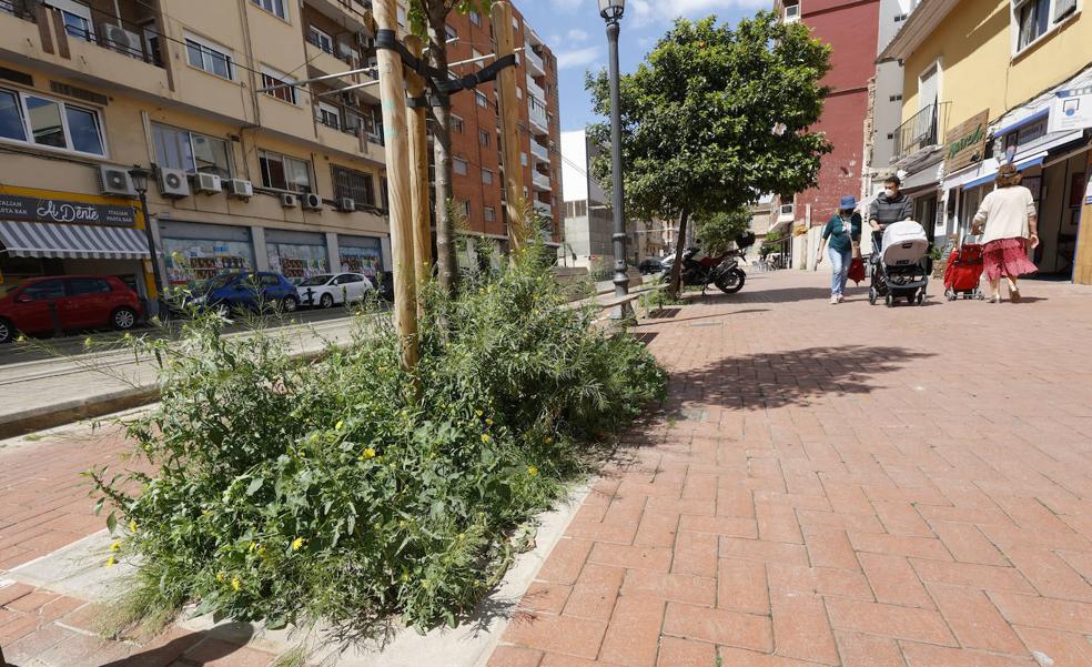 La Valencia verde se le va de las manos a Ribó