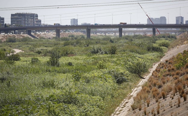 El Ayuntamiento propone renaturalizar el nuevo cauce con agua reciclada