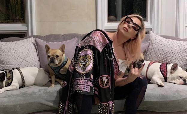 Cinco detenidos por el secuestro de los perros de Lady Gaga