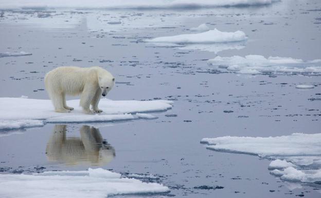 ¿Qué son las misteriosas 'bombas de calor' que están destruyendo el hielo marino del Ártico?