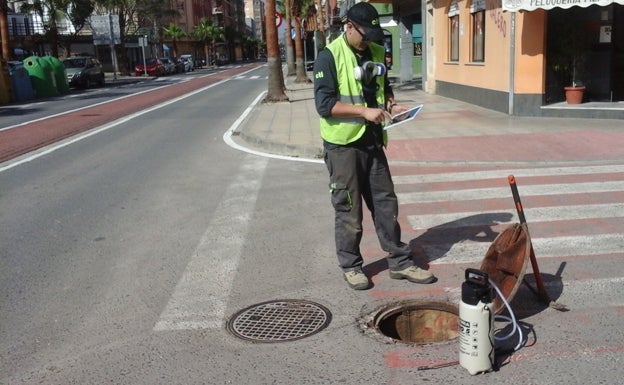 Benifaió adelanta a este mismo mes el tratamiento contra las plagas