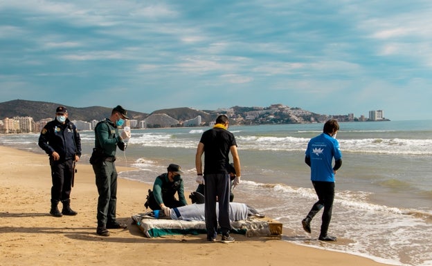 Muere el delfín que ha aparecido desorientado en la playa de Cullera