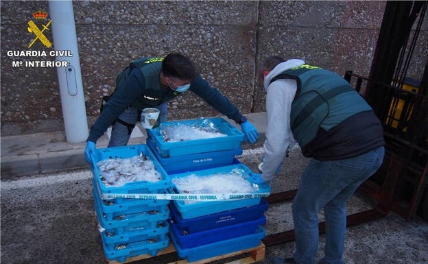 La Guardia Civil interviene 110 kilos de merluza inmadura en el puerto de Altea