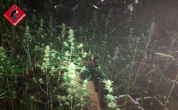 Los bomberos encuentran otra plantación de marihuana al ir a sofocar un incendio