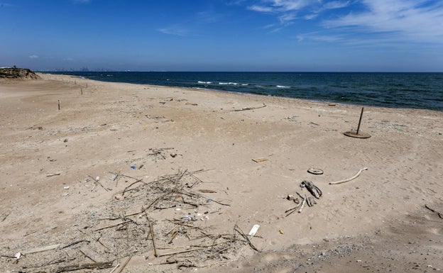 El mar de la Albufera también agoniza