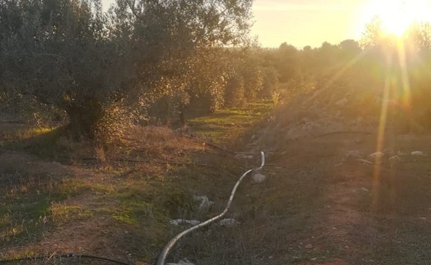 La fotovoltaica triplica el precio por los terrenos en Navarrés