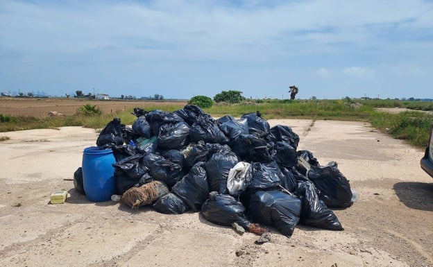 Retiran más de 1.200 kilos de residuos plásticos del marjal de Alfafar