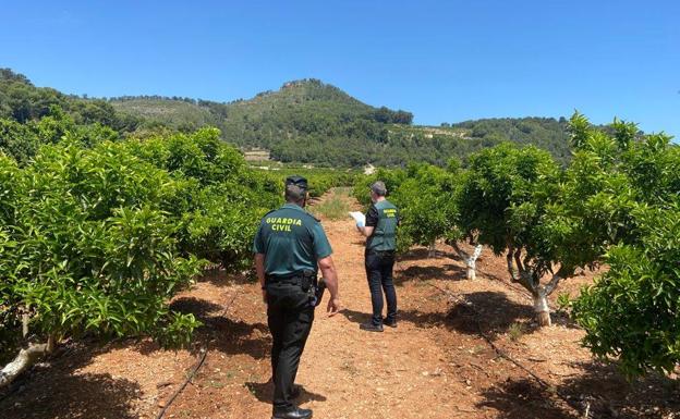 Hallan muerto al senderista de Valencia que desapareció en Xeraco