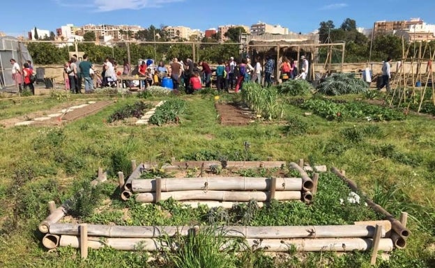 Paterna renueva el convenio con Jóvenes de La Coma para fomentar la agricultura ecológica