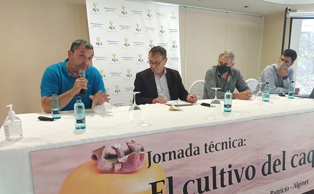 Los agricultores piden más fondos para avanzar en la investigación contra las plagas del caqui