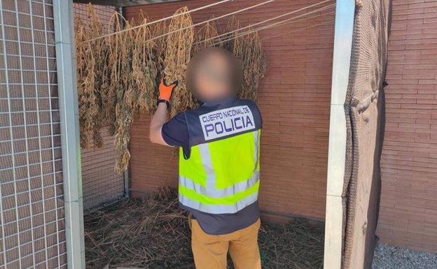 Cuatro detenidos en dos operaciones contra el tráfico de marihuana y cocaína