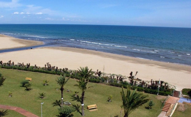 Dénia descarta la petición vecinal de una segunda playa para perros en su litoral