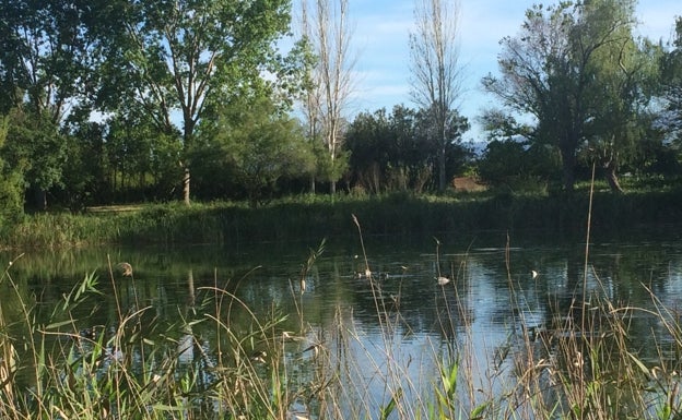 El camping de lujo junto al ullal de Gandia abre una fisura en el ejecutivo