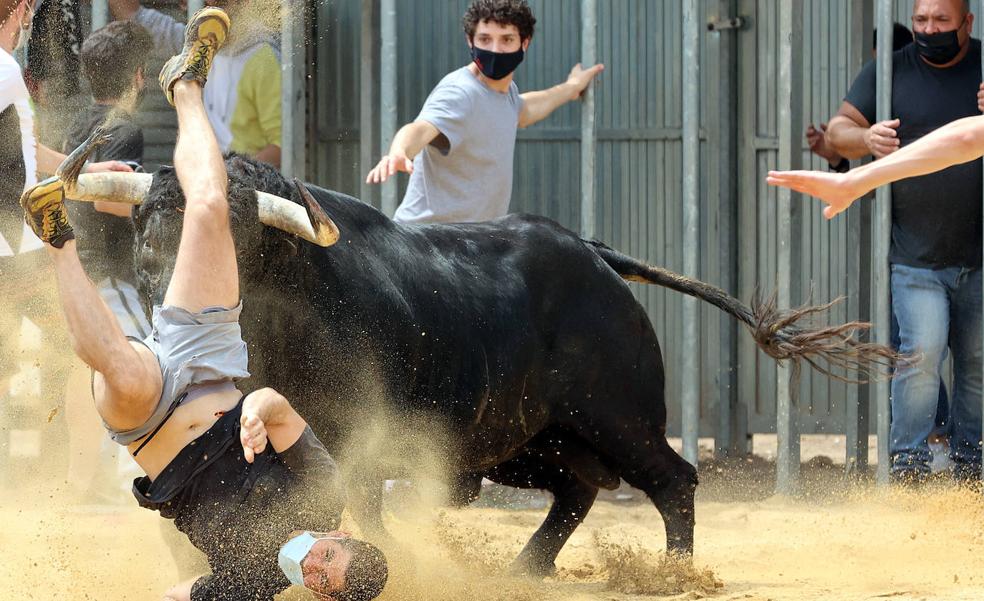 Los bous al carrer regresan con susto en la Comunitat