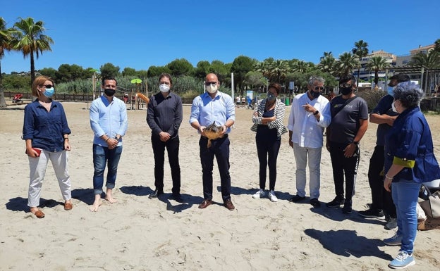 La tortuga 'Concheta' regresa al mar en Moraira