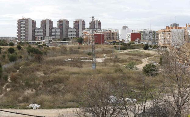 El Ayuntamiento de Valencia aprueba la creación de un nuevo jardín provisional