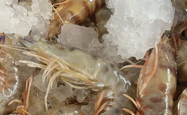 Ñora y langostino, principales atractivos