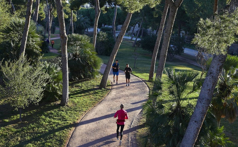 El viejo cauce del Turia: Correr por el pulmón de la ciudad de Valencia