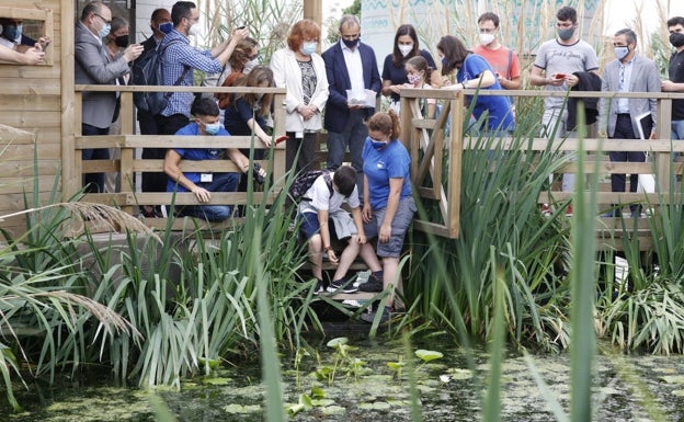 Suelta de tortugas en l'Oceanogràfic