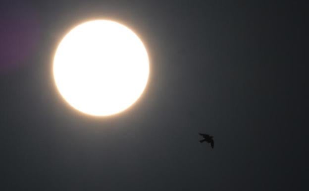 El Eclipse solar, en directo: a qué hora empieza y termina en España