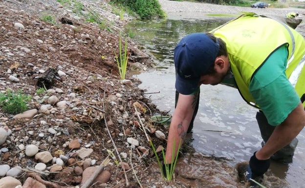 Convocan un voluntariado ambiental para mejorar el río Turia en Quart de Poblet