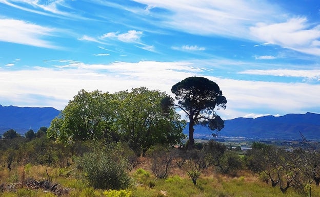 Los vecinos de Aielo advierten que el parque solar destrozaría el patrimonio natural