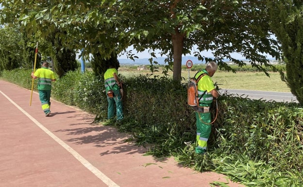 Nuevo contrato de jardinería en La Pobla de Vallbona