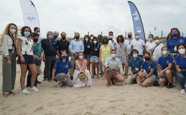 57 municipios participan en la campaña 'Tortugas en el Mediterráneo 2021' de l'Oceanogràfic